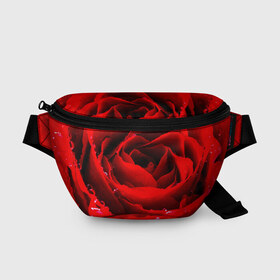 Поясная сумка 3D с принтом Роза , 100% полиэстер | плотная ткань, ремень с регулируемой длиной, внутри несколько карманов для мелочей, основное отделение и карман с обратной стороны сумки застегиваются на молнию | роза | розовая | розы | романтика | цветы