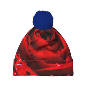 Шапка 3D c помпоном с принтом Роза , 100% полиэстер | универсальный размер, печать по всей поверхности изделия | роза | розовая | розы | романтика | цветы