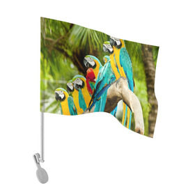 Флаг для автомобиля с принтом Попугаи на ветке , 100% полиэстер | Размер: 30*21 см | Тематика изображения на принте: джунгли | клюв | острова | перья | попугай | птица | тропики | экзотика
