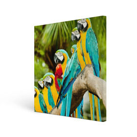 Холст квадратный с принтом Попугаи на ветке , 100% ПВХ |  | Тематика изображения на принте: джунгли | клюв | острова | перья | попугай | птица | тропики | экзотика