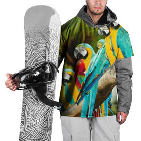 Накидка на куртку 3D с принтом Попугаи на ветке , 100% полиэстер |  | Тематика изображения на принте: джунгли | клюв | острова | перья | попугай | птица | тропики | экзотика