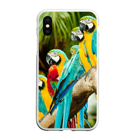 Чехол для iPhone XS Max матовый с принтом Попугаи на ветке , Силикон | Область печати: задняя сторона чехла, без боковых панелей | джунгли | клюв | острова | перья | попугай | птица | тропики | экзотика