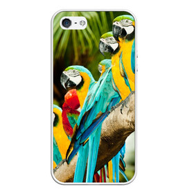 Чехол для iPhone 5/5S матовый с принтом Попугаи на ветке , Силикон | Область печати: задняя сторона чехла, без боковых панелей | джунгли | клюв | острова | перья | попугай | птица | тропики | экзотика