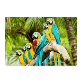 Магнитный плакат 3Х2 с принтом Попугаи на ветке , Полимерный материал с магнитным слоем | 6 деталей размером 9*9 см | джунгли | клюв | острова | перья | попугай | птица | тропики | экзотика