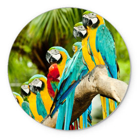 Коврик круглый с принтом Попугаи на ветке , резина и полиэстер | круглая форма, изображение наносится на всю лицевую часть | джунгли | клюв | острова | перья | попугай | птица | тропики | экзотика