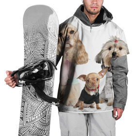 Накидка на куртку 3D с принтом Дивные собачки , 100% полиэстер |  | весёлый | животное | зверёк | игривый | классный | красивый | лучший друг человека | любимец | милый | охрана | пёс | питомец | прикольный | смешной | собака | собачонка | ум | щенок | щеночек