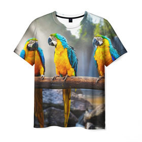 Мужская футболка 3D с принтом Экзотические попугаи , 100% полиэфир | прямой крой, круглый вырез горловины, длина до линии бедер | джунгли | клюв | острова | перья | попугай | птица | тропики | экзотика