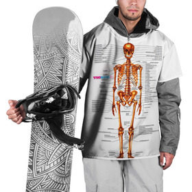Накидка на куртку 3D с принтом Шпаргалки , 100% полиэстер |  | Тематика изображения на принте: шпаргалка
