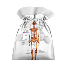 Подарочный 3D мешок с принтом Шпаргалки , 100% полиэстер | Размер: 29*39 см | Тематика изображения на принте: шпаргалка