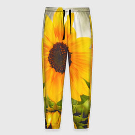 Мужские брюки 3D с принтом Подсолнухи , 100% полиэстер | манжеты по низу, эластичный пояс регулируется шнурком, по бокам два кармана без застежек, внутренняя часть кармана из мелкой сетки | лето | подсолнух | солнце | цветы