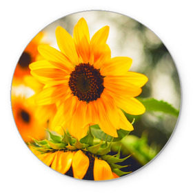 Коврик круглый с принтом Подсолнухи , резина и полиэстер | круглая форма, изображение наносится на всю лицевую часть | Тематика изображения на принте: лето | подсолнух | солнце | цветы