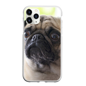 Чехол для iPhone 11 Pro матовый с принтом Мопс , Силикон |  | мопс | мопсы | собака | собаки