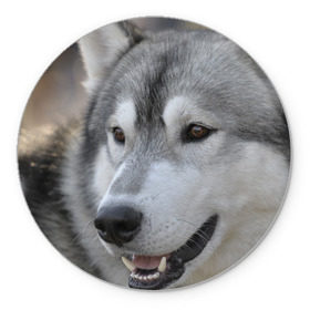 Коврик круглый с принтом Хаски , резина и полиэстер | круглая форма, изображение наносится на всю лицевую часть | собака | собаки | хаски