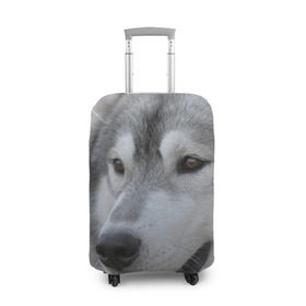 Чехол для чемодана 3D с принтом Хаски , 86% полиэфир, 14% спандекс | двустороннее нанесение принта, прорези для ручек и колес | собака | собаки | хаски