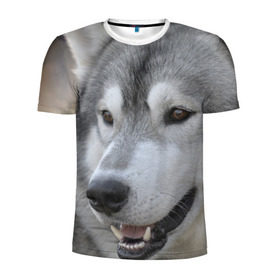 Мужская футболка 3D спортивная с принтом Хаски , 100% полиэстер с улучшенными характеристиками | приталенный силуэт, круглая горловина, широкие плечи, сужается к линии бедра | собака | собаки | хаски
