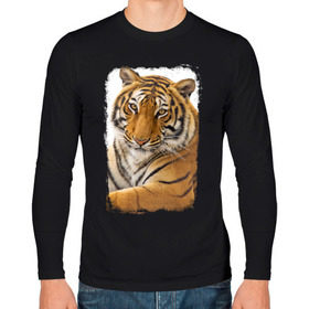 Мужской лонгслив хлопок с принтом Тигр (retro style) , 100% хлопок |  | tiger | дикая кошка | тигр | хищник