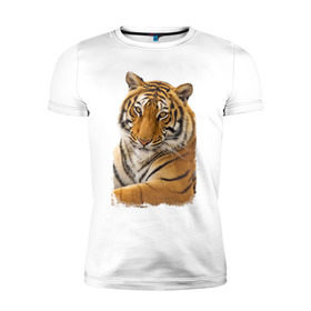 Мужская футболка премиум с принтом Тигр (retro style) , 92% хлопок, 8% лайкра | приталенный силуэт, круглый вырез ворота, длина до линии бедра, короткий рукав | tiger | дикая кошка | тигр | хищник