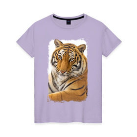 Женская футболка хлопок с принтом Тигр (retro style) , 100% хлопок | прямой крой, круглый вырез горловины, длина до линии бедер, слегка спущенное плечо | Тематика изображения на принте: tiger | дикая кошка | тигр | хищник