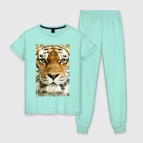 Женская пижама хлопок с принтом Тигр (retro style) , 100% хлопок | брюки и футболка прямого кроя, без карманов, на брюках мягкая резинка на поясе и по низу штанин | tiger | дикая кошка | тигр | хищник