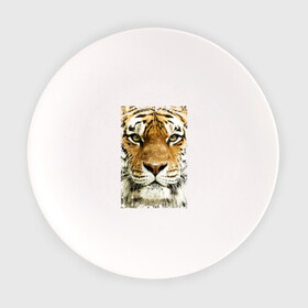 Тарелка с принтом Тигр (retro style) , фарфор | диаметр - 210 мм
диаметр для нанесения принта - 120 мм | Тематика изображения на принте: tiger | дикая кошка | тигр | хищник