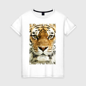 Женская футболка хлопок с принтом Тигр (retro style) , 100% хлопок | прямой крой, круглый вырез горловины, длина до линии бедер, слегка спущенное плечо | tiger | дикая кошка | тигр | хищник