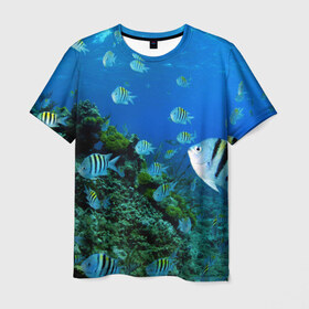 Мужская футболка 3D с принтом Подводный мир , 100% полиэфир | прямой крой, круглый вырез горловины, длина до линии бедер | дно | океан | природа | рыбки