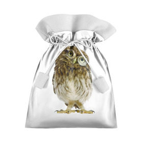 Подарочный 3D мешок с принтом Сова , 100% полиэстер | Размер: 29*39 см | прикольные картинки | птица | сова | ум