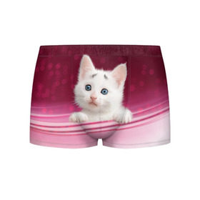 Мужские трусы 3D с принтом Белый котёнок , 50% хлопок, 50% полиэстер | классическая посадка, на поясе мягкая тканевая резинка | Тематика изображения на принте: киска | кот | котёнок | кошка | прикольные картинки