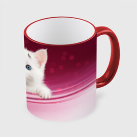 Кружка 3D с принтом Белый котёнок , керамика | ёмкость 330 мл | киска | кот | котёнок | кошка | прикольные картинки