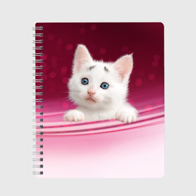 Тетрадь с принтом Белый котёнок , 100% бумага | 48 листов, плотность листов — 60 г/м2, плотность картонной обложки — 250 г/м2. Листы скреплены сбоку удобной пружинной спиралью. Уголки страниц и обложки скругленные. Цвет линий — светло-серый
 | киска | кот | котёнок | кошка | прикольные картинки