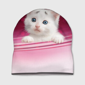 Шапка 3D с принтом Белый котёнок , 100% полиэстер | универсальный размер, печать по всей поверхности изделия | киска | кот | котёнок | кошка | прикольные картинки