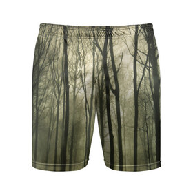 Мужские шорты 3D спортивные с принтом Чарующий лес ,  |  | красиво | лес | природа | фото