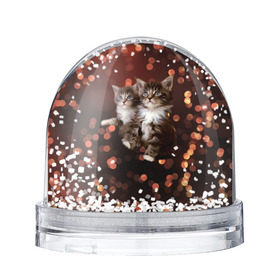 Снежный шар с принтом Котята , Пластик | Изображение внутри шара печатается на глянцевой фотобумаге с двух сторон | киска | кот | котёнок | кошка | прикольные картинки