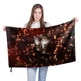 Флаг 3D с принтом Котята , 100% полиэстер | плотность ткани — 95 г/м2, размер — 67 х 109 см. Принт наносится с одной стороны | киска | кот | котёнок | кошка | прикольные картинки