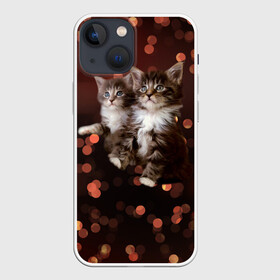 Чехол для iPhone 13 mini с принтом Котята ,  |  | киска | кот | котёнок | кошка | прикольные картинки