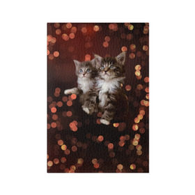 Обложка для паспорта матовая кожа с принтом Котята , натуральная матовая кожа | размер 19,3 х 13,7 см; прозрачные пластиковые крепления | киска | кот | котёнок | кошка | прикольные картинки