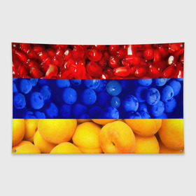 Флаг-баннер с принтом Флаг Армении , 100% полиэстер | размер 67 х 109 см, плотность ткани — 95 г/м2; по краям флага есть четыре люверса для крепления | армения | гранат | персик | слива | страны | флаг армении | фрукты