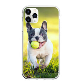 Чехол для iPhone 11 Pro Max матовый с принтом Бульдог , Силикон |  | бульдог | лето | мячик | радость | собака | солнце