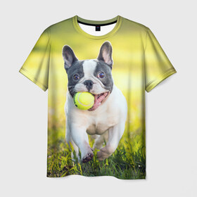 Мужская футболка 3D с принтом Бульдог , 100% полиэфир | прямой крой, круглый вырез горловины, длина до линии бедер | бульдог | лето | мячик | радость | собака | солнце