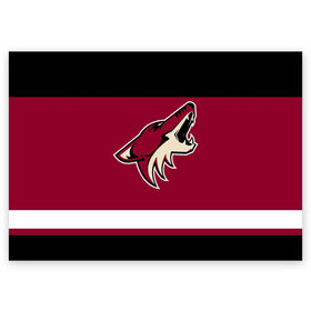 Поздравительная открытка с принтом Arizona Coyotes , 100% бумага | плотность бумаги 280 г/м2, матовая, на обратной стороне линовка и место для марки
 | arizona coyotes | hockey | nhl | нхл | хоккей