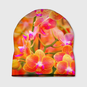 Шапка 3D с принтом Орхирея , 100% полиэстер | универсальный размер, печать по всей поверхности изделия | красивая | орхидея | природа | цветы | яркая