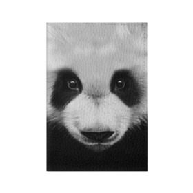 Обложка для паспорта матовая кожа с принтом Морда панды , натуральная матовая кожа | размер 19,3 х 13,7 см; прозрачные пластиковые крепления | 