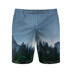 Мужские шорты 3D спортивные с принтом Forest ,  |  | forest | горы | ели | лес | север | сосны | туман