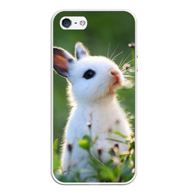 Чехол для iPhone 5/5S матовый с принтом Кролик , Силикон | Область печати: задняя сторона чехла, без боковых панелей | animal | baby | cute | flowers | fluffy | hare | lawn | little | meadow | rabbit | животное | заяц | кролик | луг | лужайка | маленький | малыш | милый | пушистый | цветы