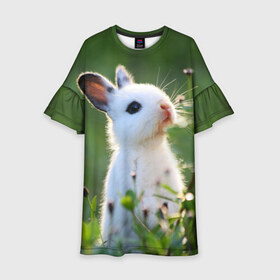 Детское платье 3D с принтом Кролик , 100% полиэстер | прямой силуэт, чуть расширенный к низу. Круглая горловина, на рукавах — воланы | animal | baby | cute | flowers | fluffy | hare | lawn | little | meadow | rabbit | животное | заяц | кролик | луг | лужайка | маленький | малыш | милый | пушистый | цветы