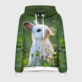 Мужская толстовка 3D с принтом Кролик , 100% полиэстер | двухслойный капюшон со шнурком для регулировки, мягкие манжеты на рукавах и по низу толстовки, спереди карман-кенгуру с мягким внутренним слоем. | animal | baby | cute | flowers | fluffy | hare | lawn | little | meadow | rabbit | животное | заяц | кролик | луг | лужайка | маленький | малыш | милый | пушистый | цветы