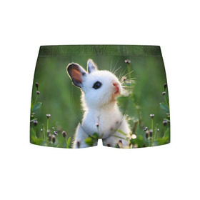 Мужские трусы 3D с принтом Кролик , 50% хлопок, 50% полиэстер | классическая посадка, на поясе мягкая тканевая резинка | Тематика изображения на принте: animal | baby | cute | flowers | fluffy | hare | lawn | little | meadow | rabbit | животное | заяц | кролик | луг | лужайка | маленький | малыш | милый | пушистый | цветы