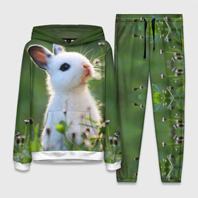 Женский костюм 3D (с толстовкой) с принтом Кролик ,  |  | animal | baby | cute | flowers | fluffy | hare | lawn | little | meadow | rabbit | животное | заяц | кролик | луг | лужайка | маленький | малыш | милый | пушистый | цветы