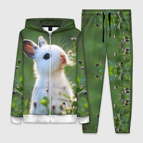 Женский костюм 3D с принтом Кролик ,  |  | animal | baby | cute | flowers | fluffy | hare | lawn | little | meadow | rabbit | животное | заяц | кролик | луг | лужайка | маленький | малыш | милый | пушистый | цветы