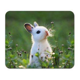 Коврик прямоугольный с принтом Кролик , натуральный каучук | размер 230 х 185 мм; запечатка лицевой стороны | animal | baby | cute | flowers | fluffy | hare | lawn | little | meadow | rabbit | животное | заяц | кролик | луг | лужайка | маленький | малыш | милый | пушистый | цветы